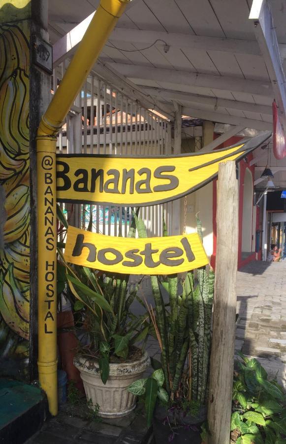 Bananas Hostel Itacaré Εξωτερικό φωτογραφία